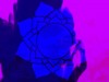 Liquid Lotus - TESTAROJA 